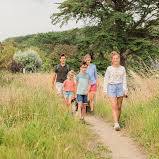 Ontdek de Schoonheid van Wandelen in Nederland