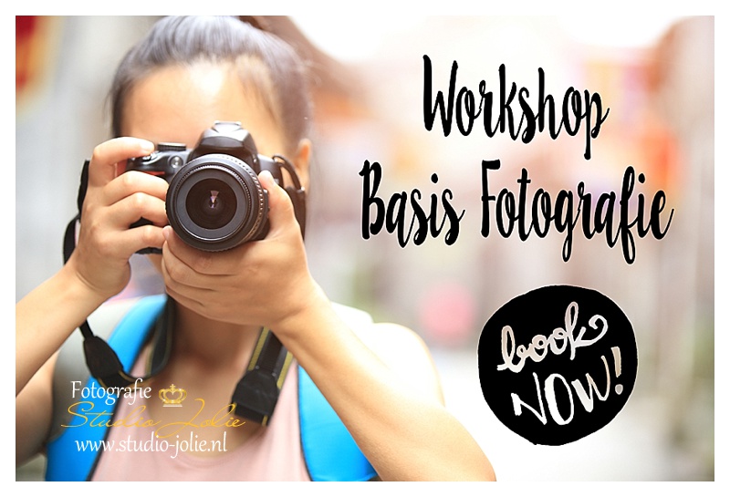 Ontdek de Schoonheid van de Natuur: Volg een Cursus Natuurfotografie