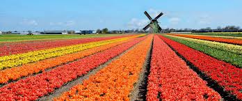 nederland'
