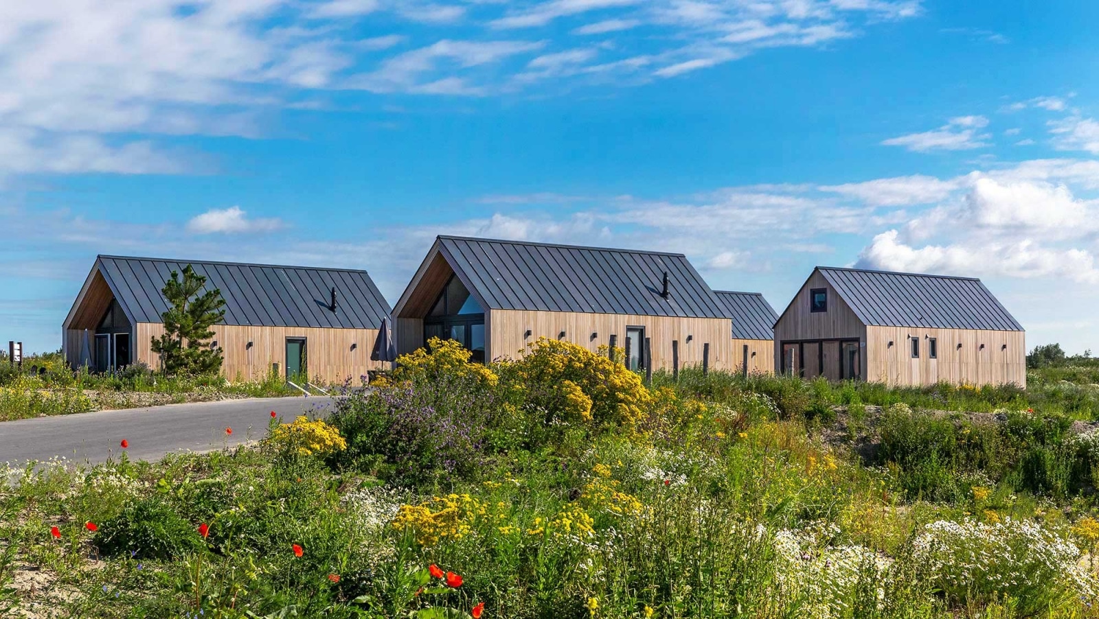 Geniet van een Ontspannen Verblijf in een Vakantiepark in Zeeland