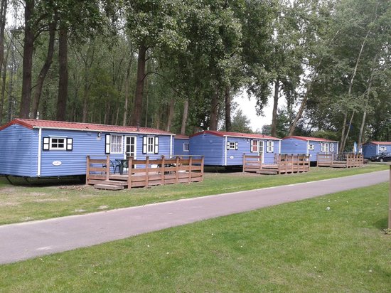 Ontdek de Schoonheid van Marina Beach in Zeeland